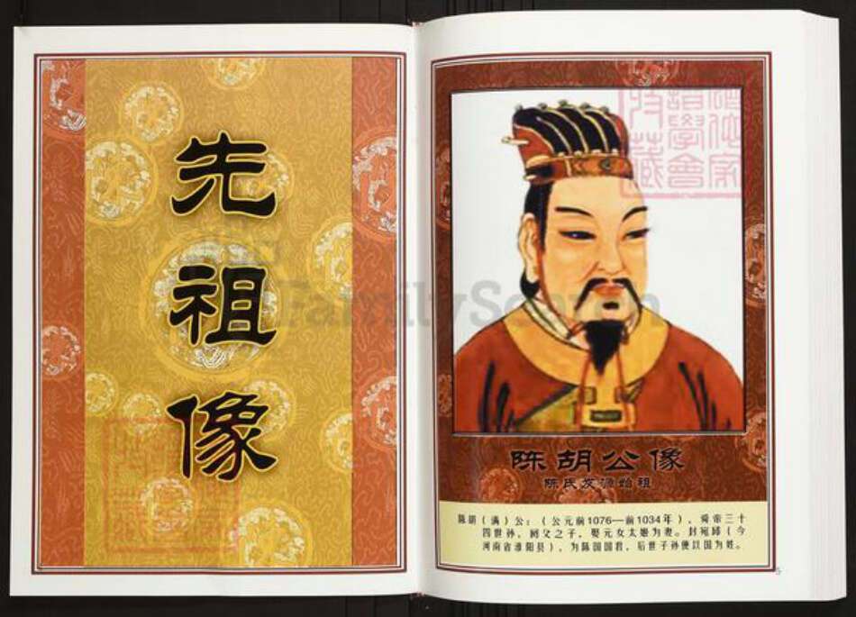 安徽省安庆市潜山市陈氏义门堂族谱-中华义门陈氏大成谱桐城庄安徽潜山县陈氏族谱.pdf电子版预览图3