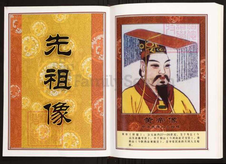 安徽省合肥市庐江县陈氏族谱-中华义门陈氏大成谱安徽庐江潜川天赐公支系族谱.pdf电子版预览图3