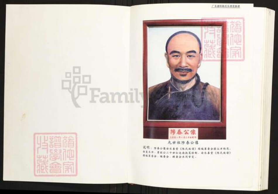 广东省惠州市惠阳区陈氏族谱-广东惠阳陈氏乐善堂族谱.pdf电子版预览图1