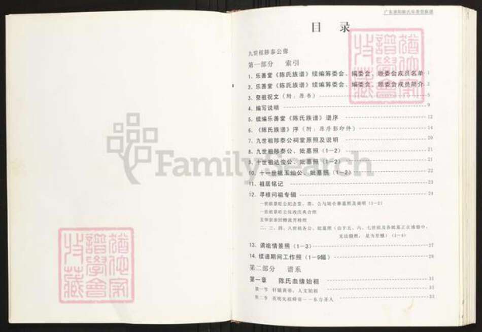 广东省惠州市惠阳区陈氏族谱-广东惠阳陈氏乐善堂族谱.pdf电子版预览图2