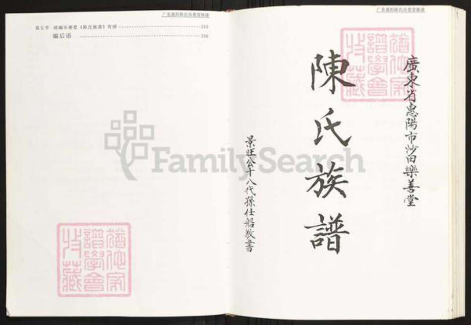 广东省惠州市惠阳区陈氏族谱-广东惠阳陈氏乐善堂族谱.pdf电子版预览图4