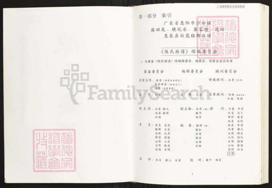 广东省惠州市惠阳区陈氏族谱-广东惠阳陈氏乐善堂族谱.pdf电子版预览图5