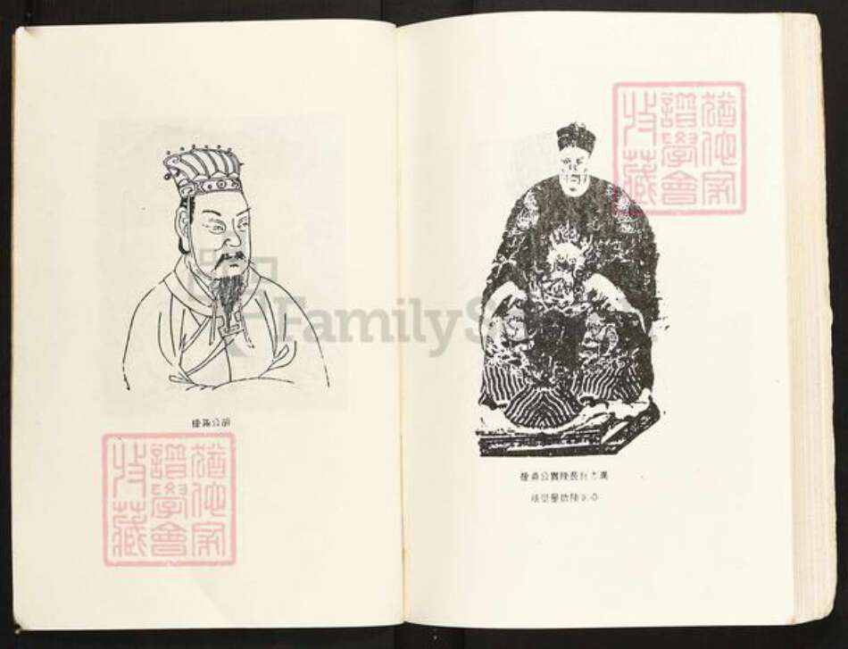 广西壮族自治区南宁市宾阳县陈氏族谱-陈念二公世系源流谱.pdf电子版预览图4