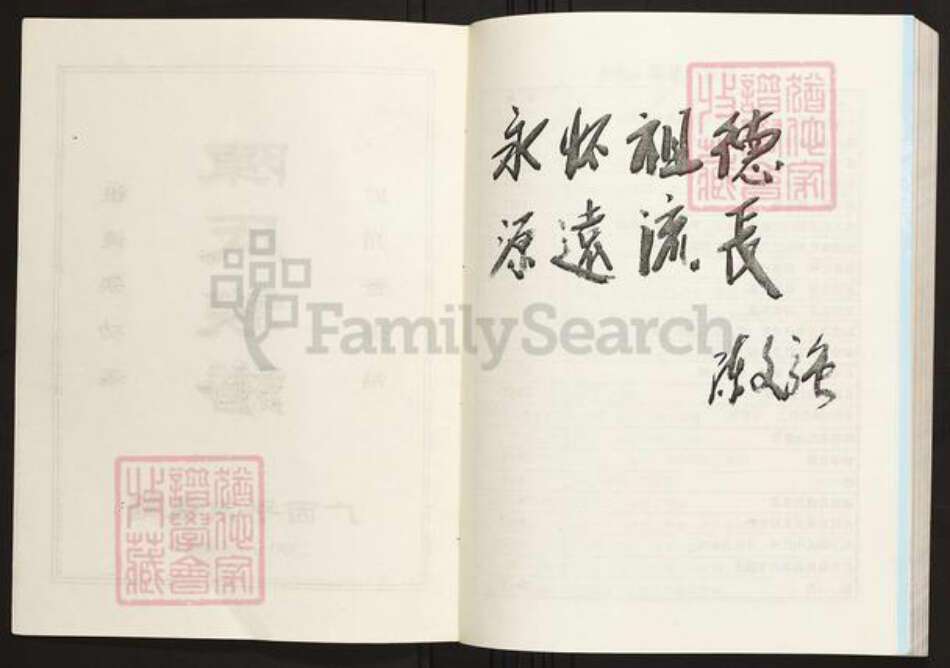 广西壮族自治区贵港市平南县陈氏族谱-广西平南揽塘陈氏族谱.pdf电子版预览图2