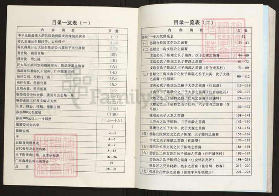 广西壮族自治区贵港市平南县陈氏族谱-广西平南揽塘陈氏族谱.pdf电子版预览图3