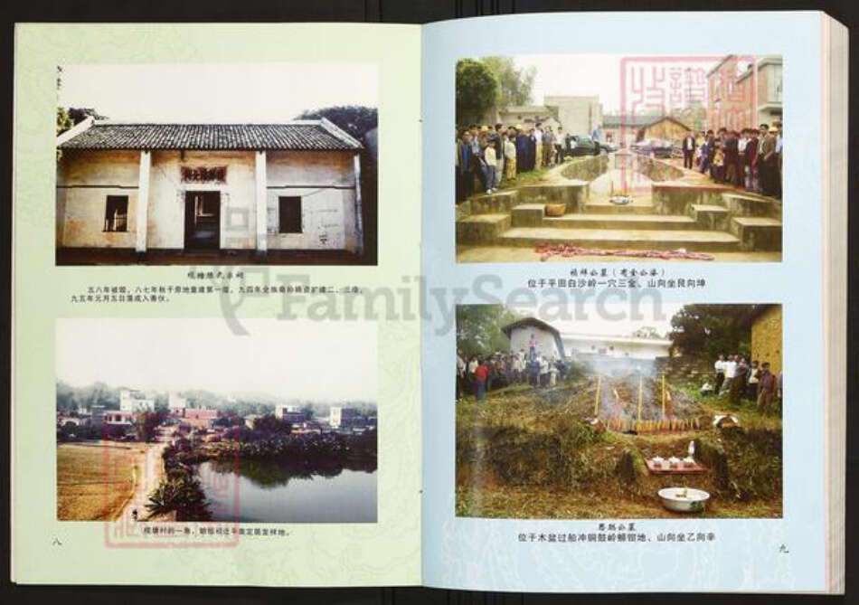 广西壮族自治区贵港市平南县陈氏族谱-广西平南揽塘陈氏族谱.pdf电子版预览图4