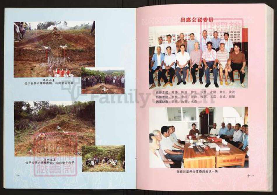 广西壮族自治区贵港市平南县陈氏族谱-广西平南揽塘陈氏族谱.pdf电子版预览图5