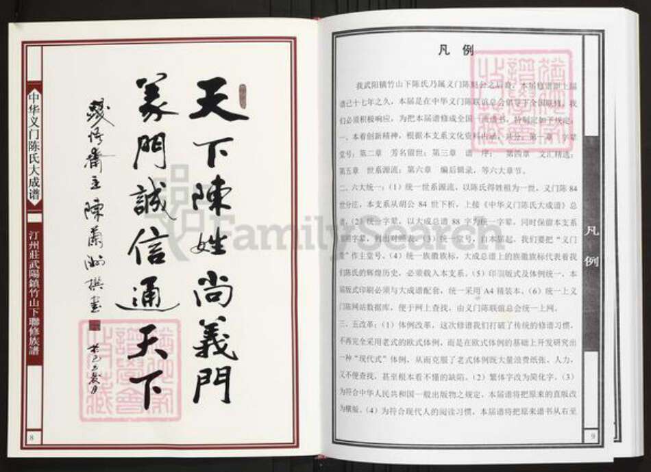 江西省南昌市南昌县武阳镇陈氏族谱-中华义门陈氏大成谱汀州庄武阳镇竹山下联修族谱.pdf电子版预览图5