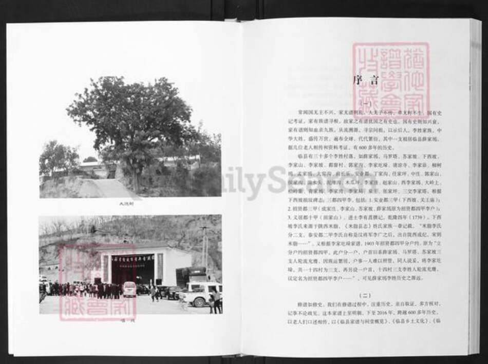 山西省吕梁市临县李氏族谱-李氏家谱.pdf电子版预览图5