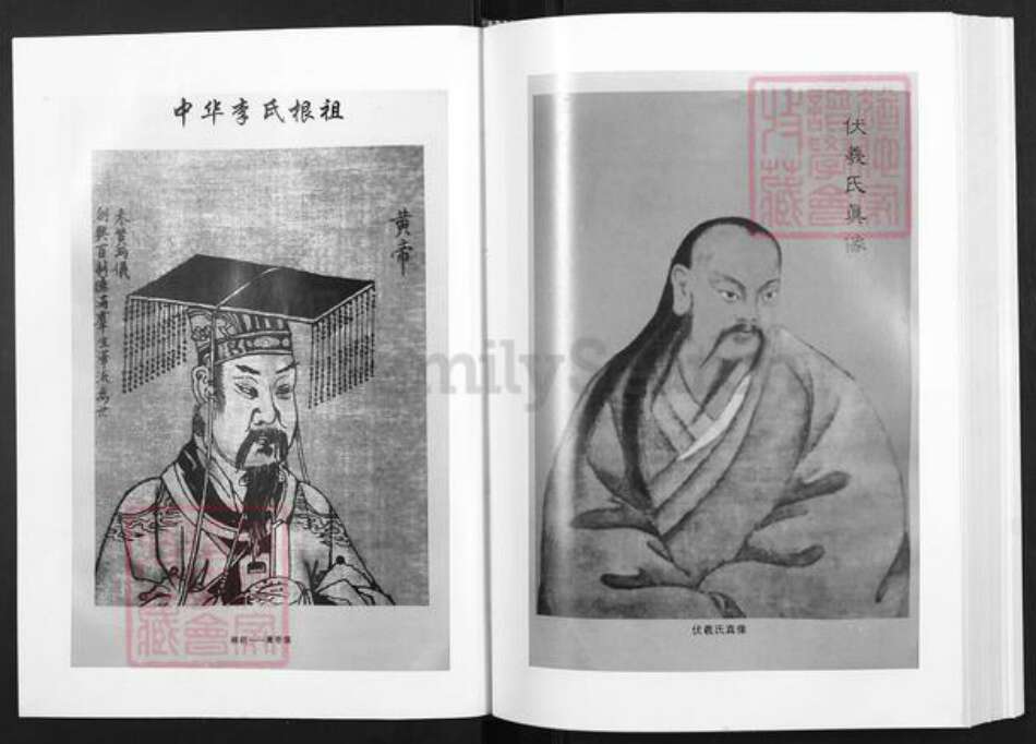 甘肃省定西市陇西县李氏族谱-清湘李氏家谱.pdf电子版预览图2