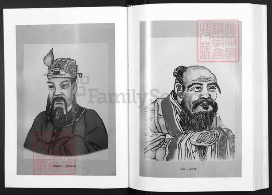 甘肃省定西市陇西县李氏族谱-清湘李氏家谱.pdf电子版预览图4