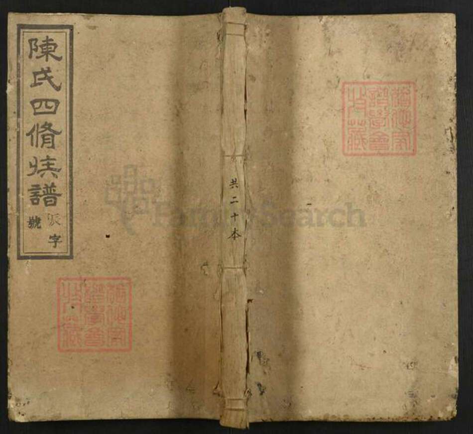 湖南省邵阳市陈氏族谱-宝庆墨溪陈氏四修族谱.pdf电子版缩略图