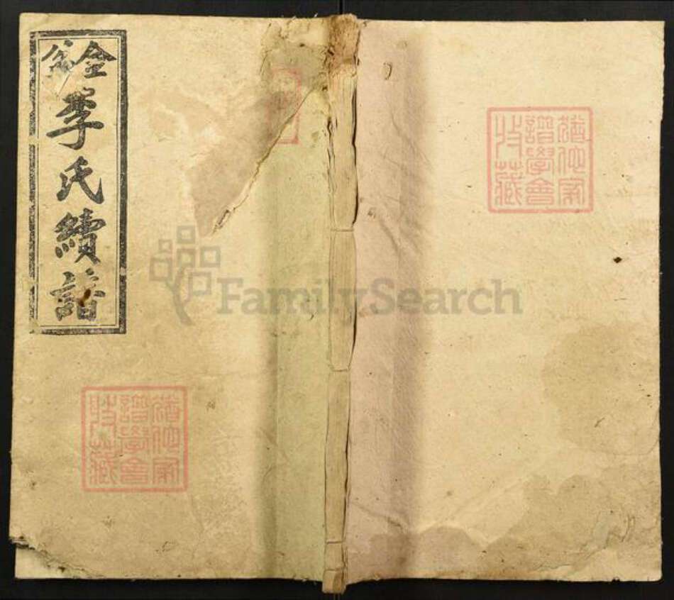 湖南省邵阳市邵东李氏居善堂族谱-金盆李氏续谱.pdf电子版缩略图