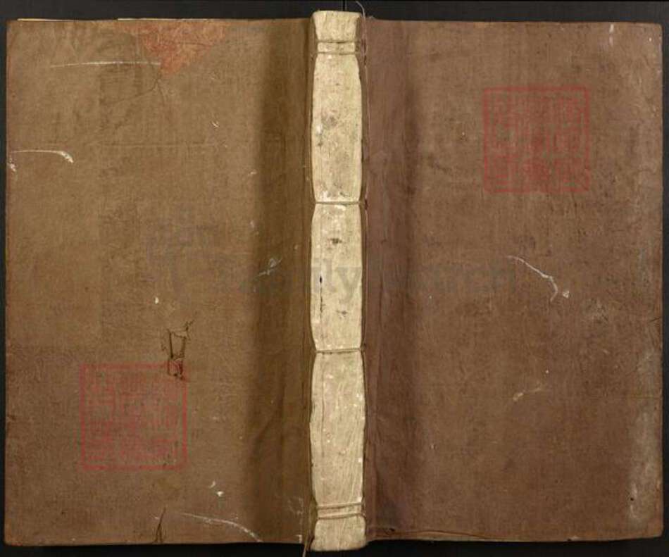 浙江省温州市平阳县腾蛟镇杨氏族谱-杨氏族谱.pdf电子版缩略图