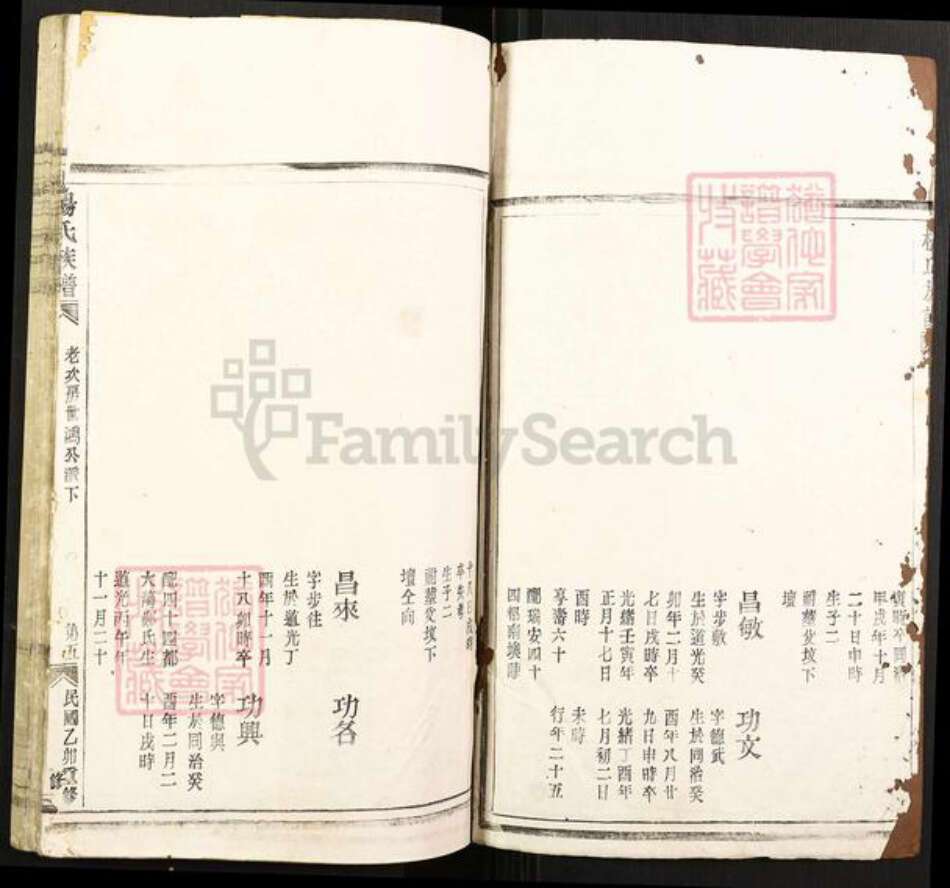 浙江省温州市平阳县腾蛟镇杨氏族谱-杨氏族谱.pdf电子版预览图1