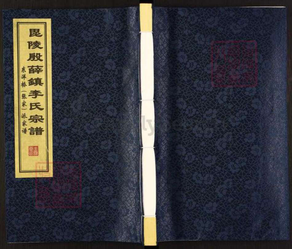 江苏省常州市武进县李氏垂裕堂族谱-毘陵殷薛镇李氏宗谱.东洋桥(张家)派家谱.pdf电子版缩略图