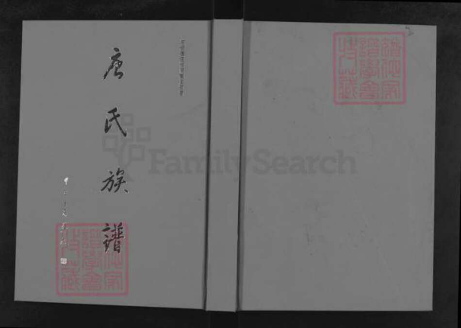 山东省菏泽市东明县唐氏族谱-唐氏族谱.pdf电子版缩略图