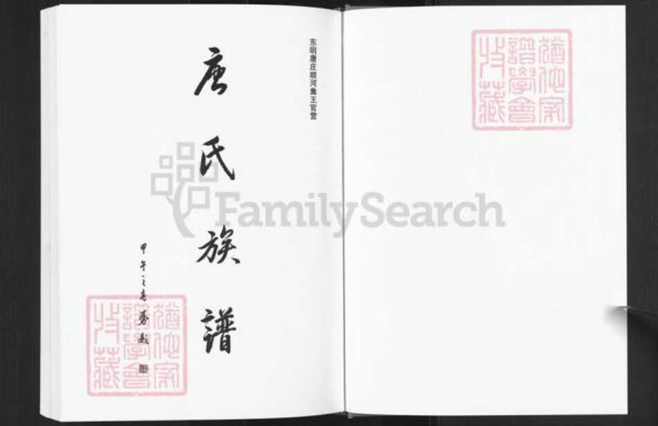 山东省菏泽市东明县唐氏族谱-唐氏族谱.pdf电子版预览图1