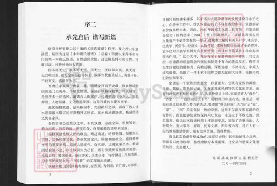 山东省菏泽市东明县唐氏族谱-唐氏族谱.pdf电子版预览图5