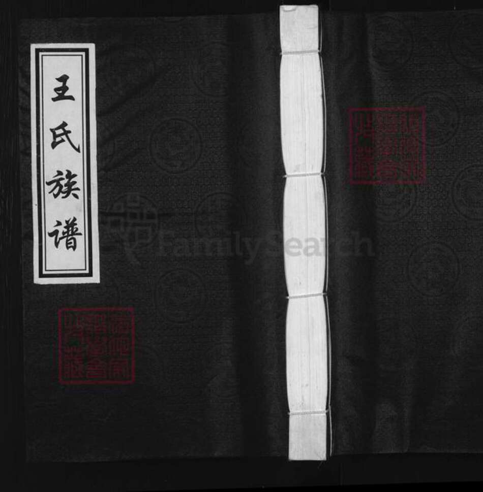 河北省沧州黄骅市官庄乡王氏族谱-王氏族谱.pdf电子版缩略图