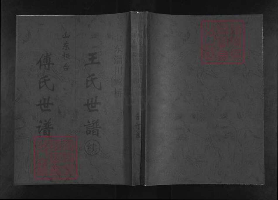 山东省淄博市淄川区王氏族谱-王氏世谱续.pdf电子版缩略图