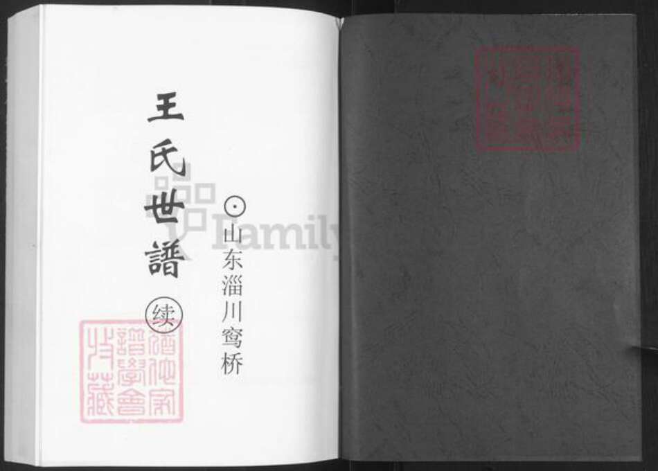 山东省淄博市淄川区王氏族谱-王氏世谱续.pdf电子版预览图1