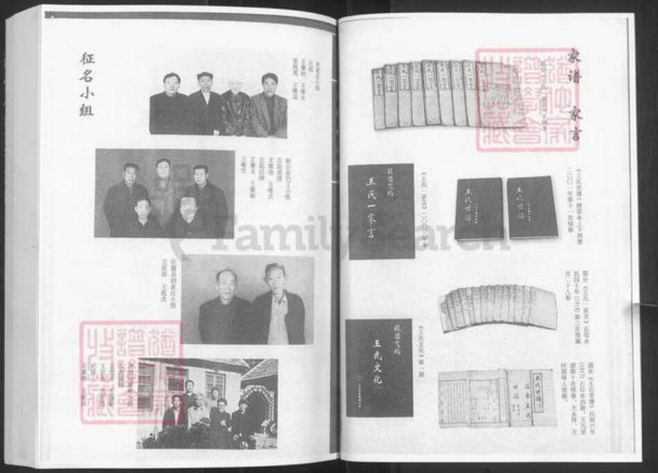 山东省淄博市淄川区王氏族谱-王氏世谱续.pdf电子版预览图3