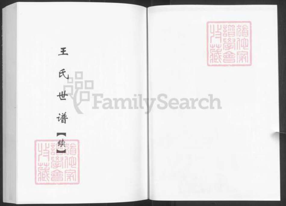山东省淄博市淄川区王氏族谱-王氏世谱续.pdf电子版预览图4