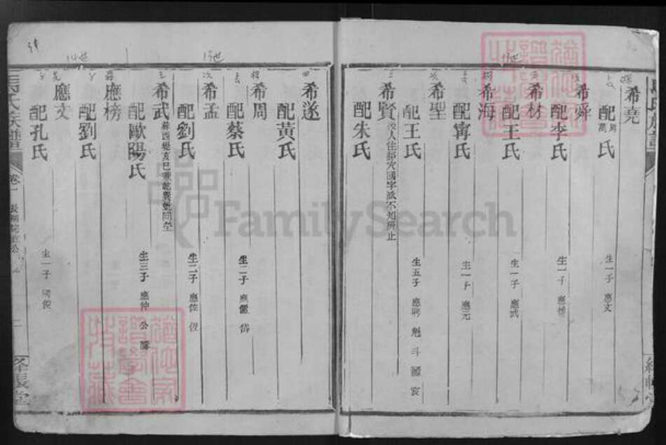 湖北省荆州市江陵县沙岗镇马氏绛帐堂族谱-马氏族谱.pdf电子版预览图3