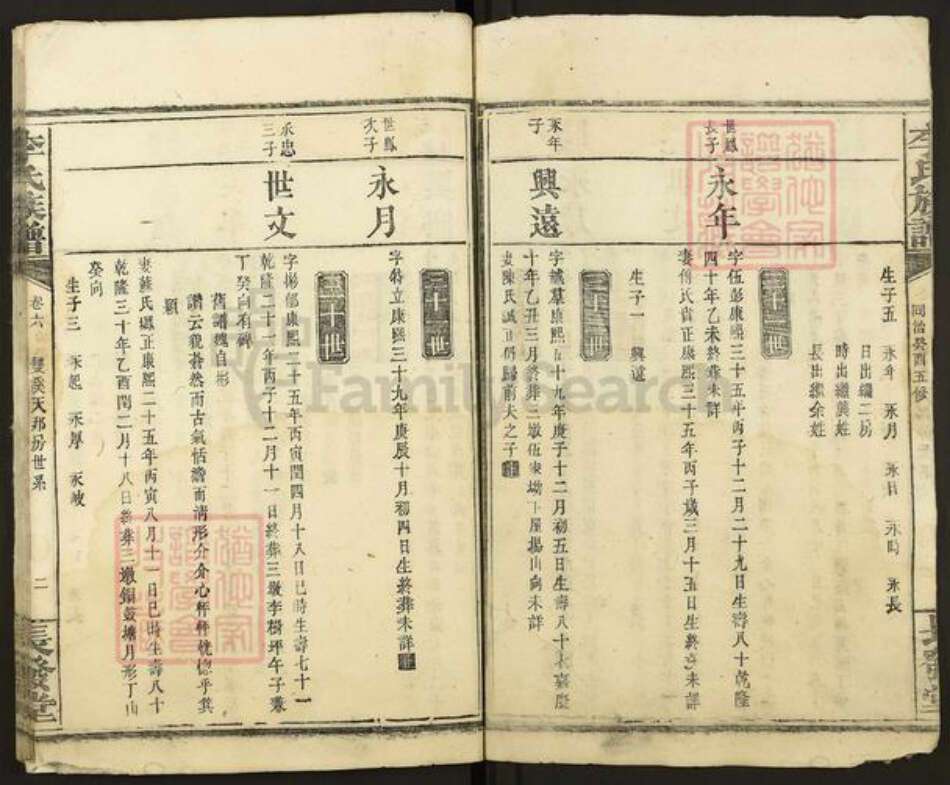 湖南省岳阳市平江县南江镇李氏长发堂族谱-李氏族谱.pdf电子版预览图2