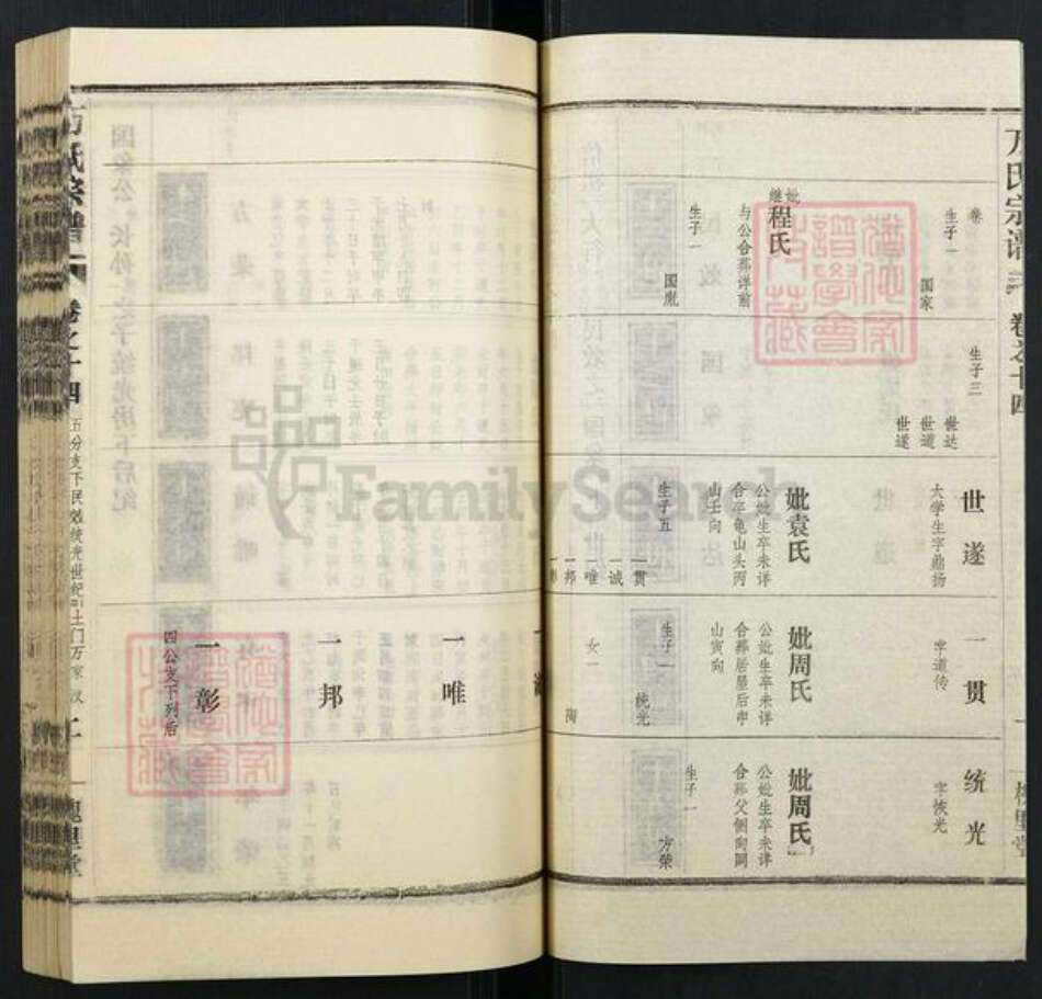 湖北省武汉市汉阳区万氏族谱-万氏宗谱.pdf电子版预览图2