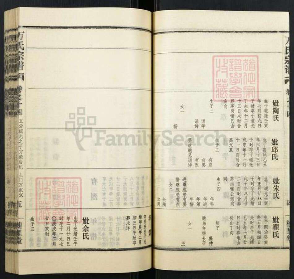 湖北省武汉市汉阳区万氏族谱-万氏宗谱.pdf电子版预览图5