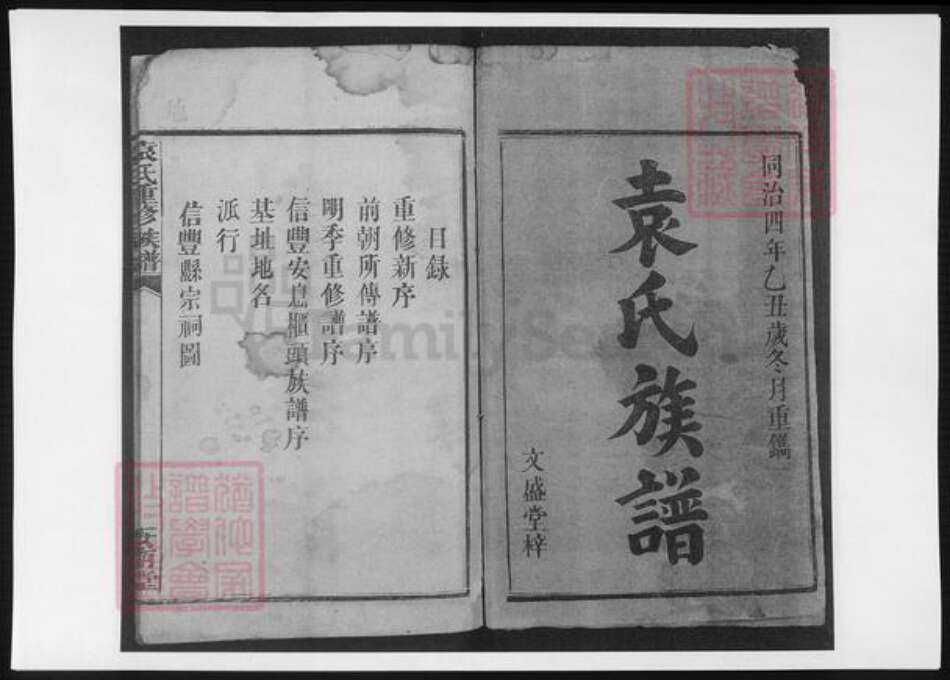 江西省赣州市信丰县袁氏族谱-袁氏重修族谱.pdf电子版缩略图