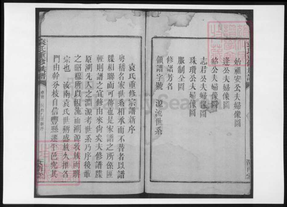 江西省赣州市信丰县袁氏族谱-袁氏重修族谱.pdf电子版预览图2