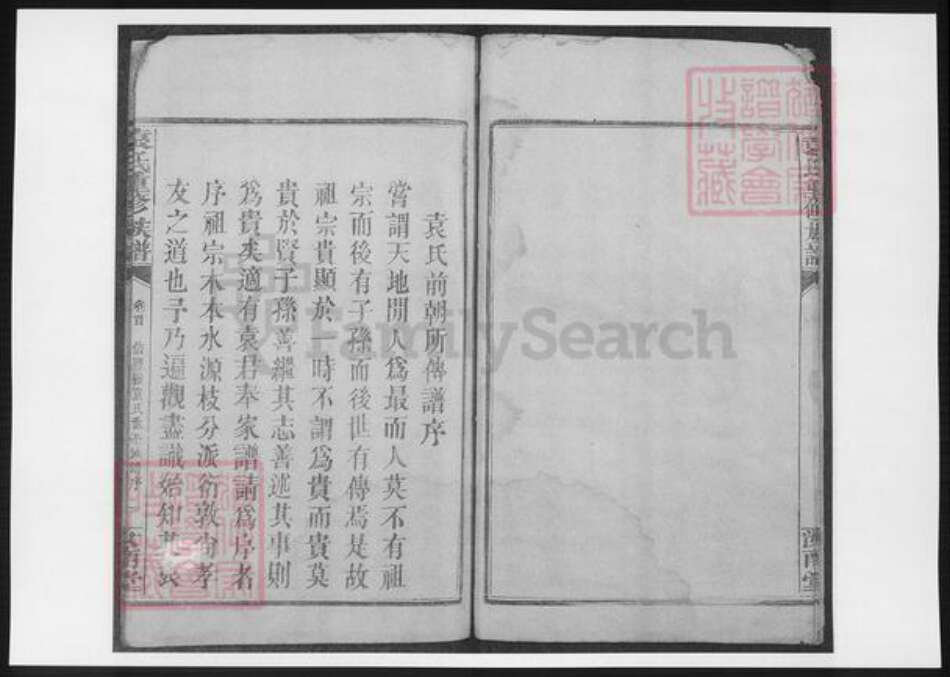 江西省赣州市信丰县袁氏族谱-袁氏重修族谱.pdf电子版预览图5