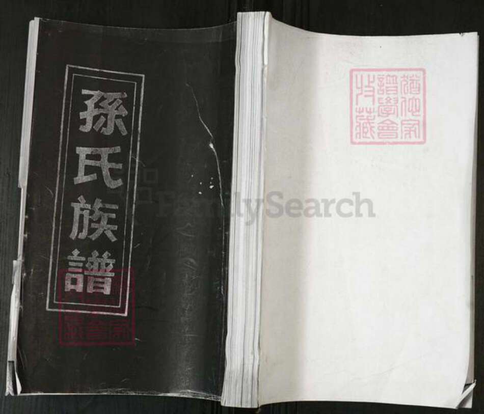 山东省青岛市即墨区田横镇山东省青岛市即墨区孙；孙氏敦本堂族谱-孙氏族谱.pdf电子版缩略图