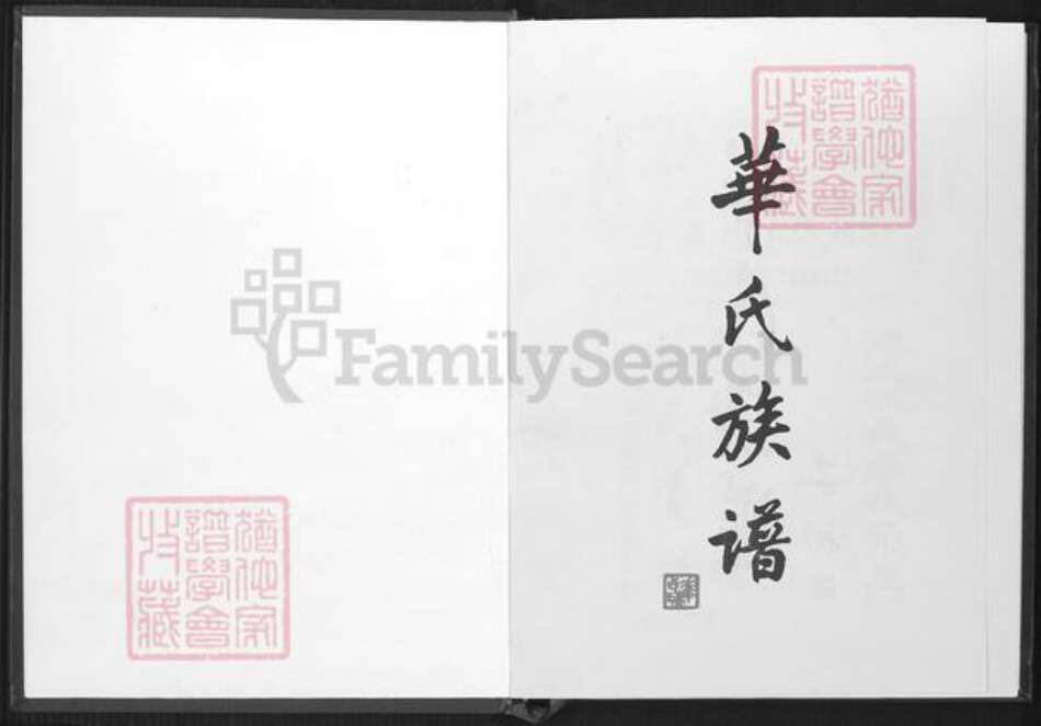 广东省清远市英德市华氏族谱-华氏族谱.英德横石水.pdf电子版预览图1