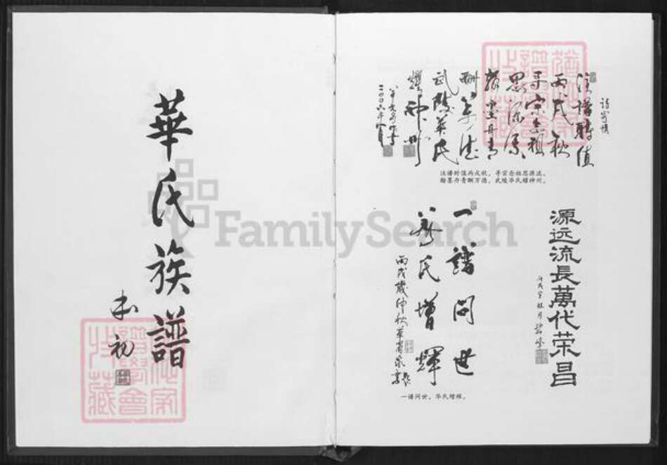 广东省清远市英德市华氏族谱-华氏族谱.英德横石水.pdf电子版预览图2