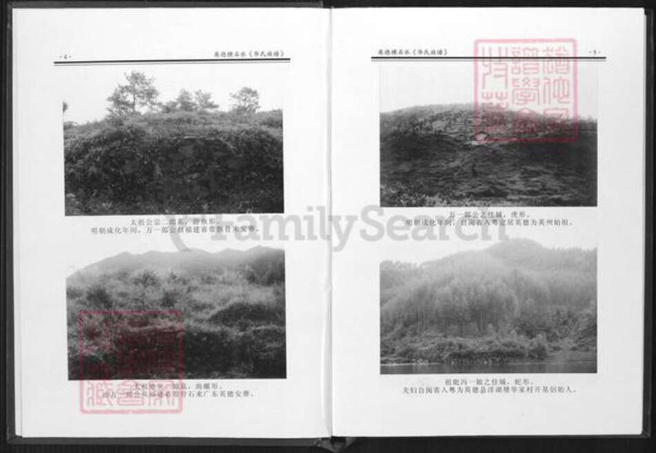 广东省清远市英德市华氏族谱-华氏族谱.英德横石水.pdf电子版预览图5