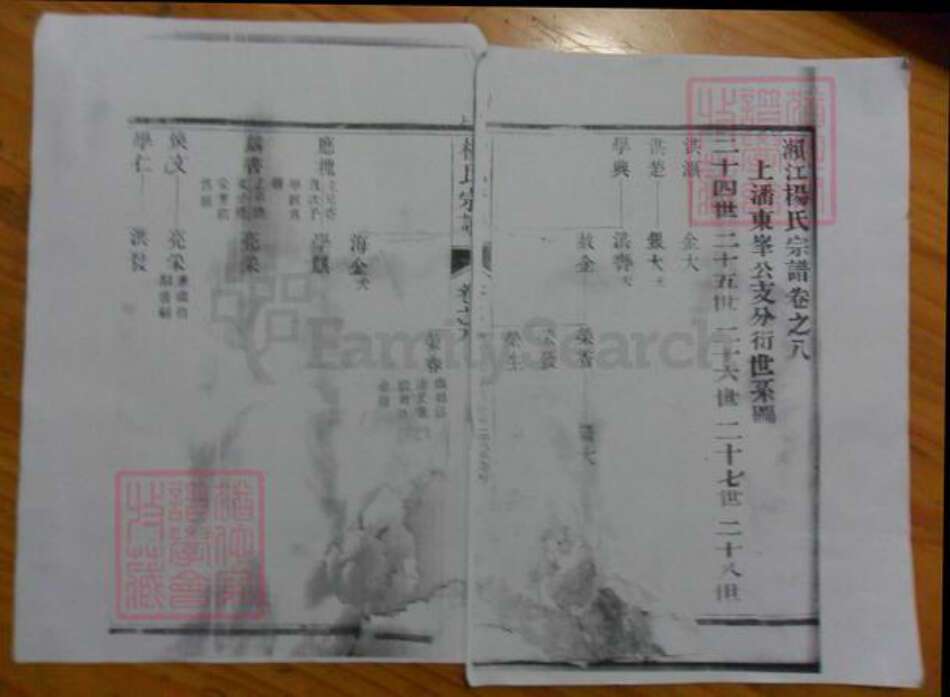 广东省杨氏族谱-濑江杨氏宗谱.pdf电子版缩略图