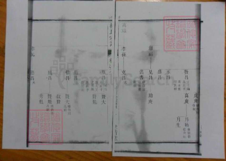 广东省杨氏族谱-濑江杨氏宗谱.pdf电子版预览图1