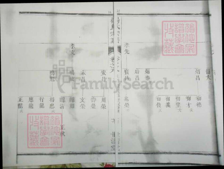 广东省杨氏族谱-濑江杨氏宗谱.pdf电子版预览图2