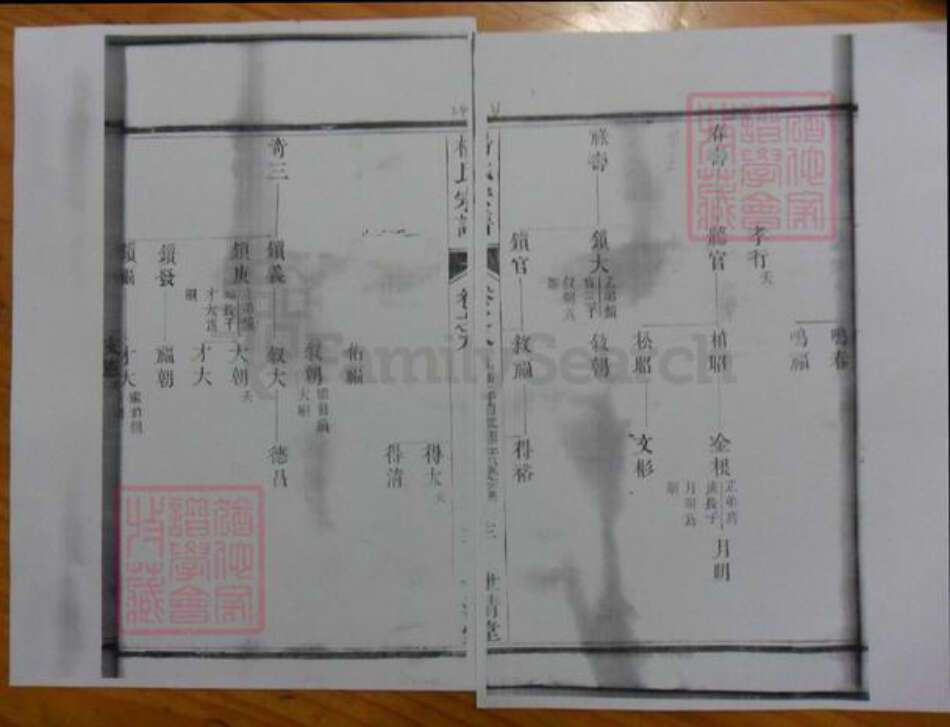 广东省杨氏族谱-濑江杨氏宗谱.pdf电子版预览图3