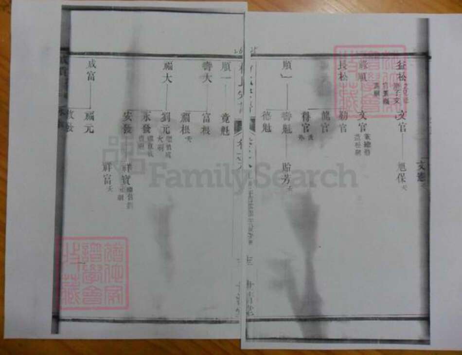 广东省杨氏族谱-濑江杨氏宗谱.pdf电子版预览图4