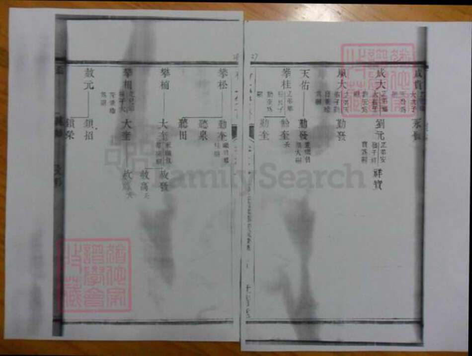 广东省杨氏族谱-濑江杨氏宗谱.pdf电子版预览图5