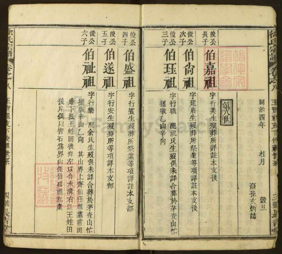 湖北省黄冈市红安县徐氏族谱-徐氏宗谱(长青堂).pdf电子版预览图4