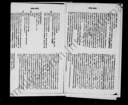 中国阿氏族谱-阿姓家谱：照屋支派.pdf电子版预览图4