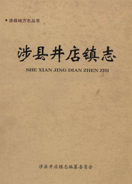 井店镇志.pdf电子版_河北省志缩略图
