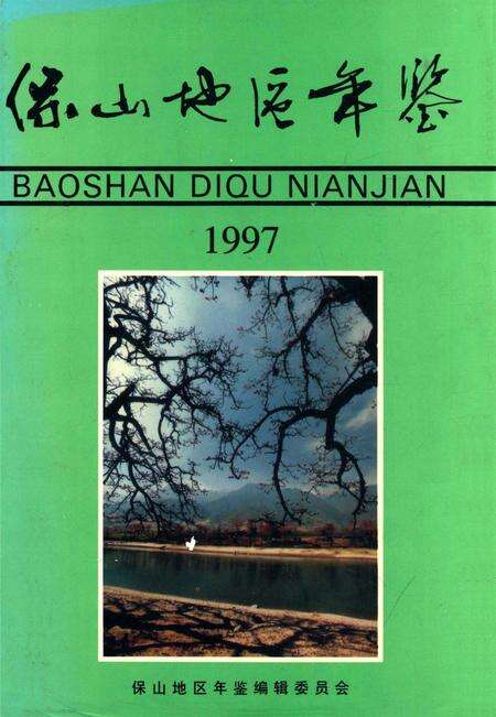 保山地区年鉴1997.pdf电子版_云南省志缩略图