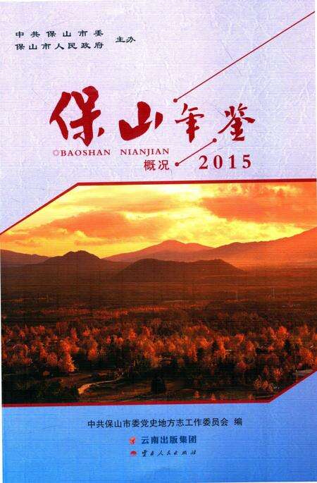 保山年鉴 概况 2015.pdf电子版_云南省志缩略图